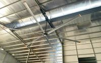 Phân phối quạt trần công nghiệp Wing